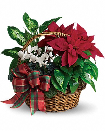 Holiday Homecoming Basket