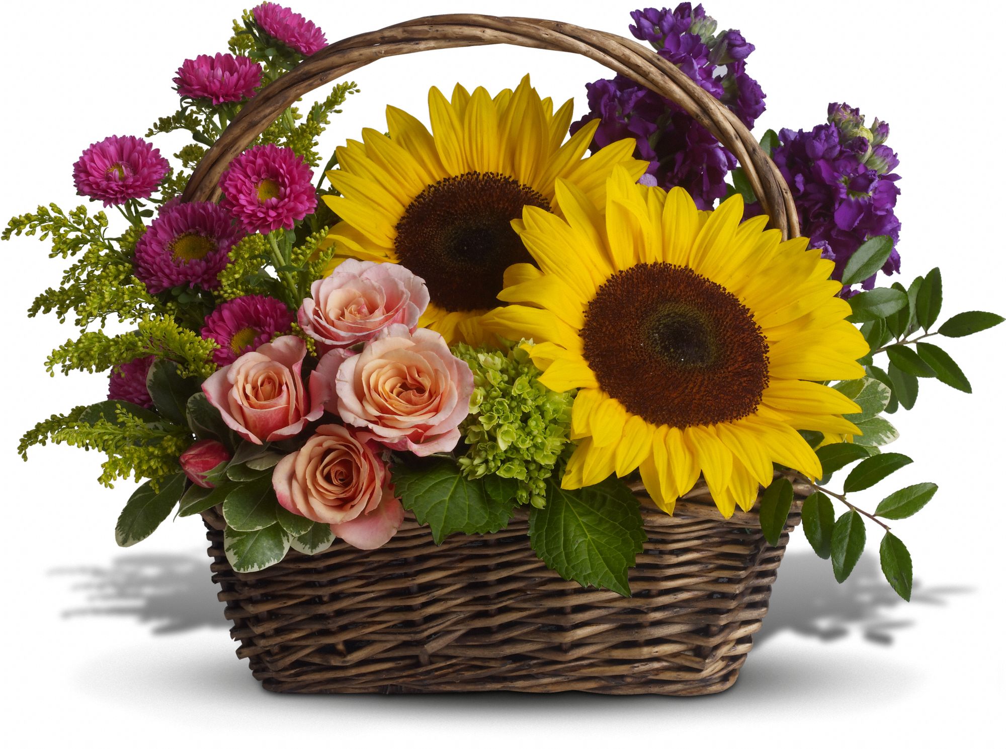 Picnic in the Park Basket Arrangement