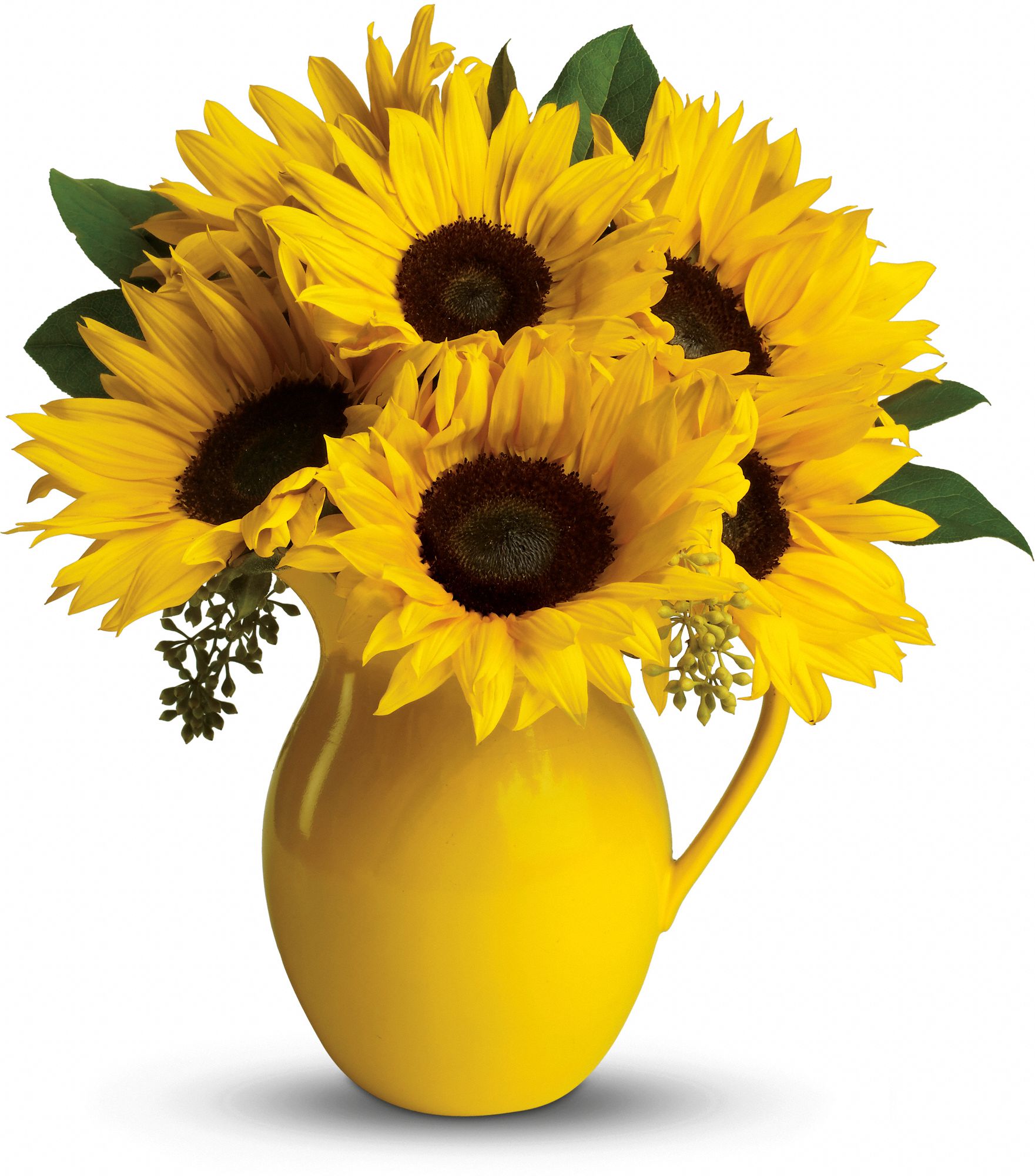 Teleflora's Sunny Day Pitcher of Sunflowers Flower Arrangement