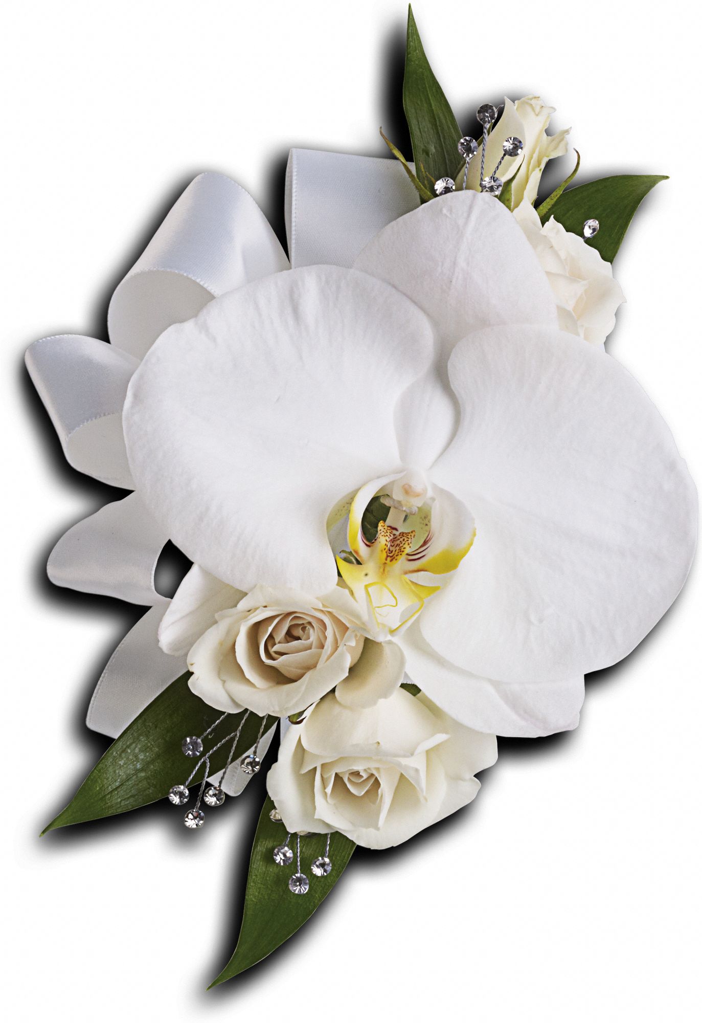 White Orchid and Rose Corsage - Teleflora
