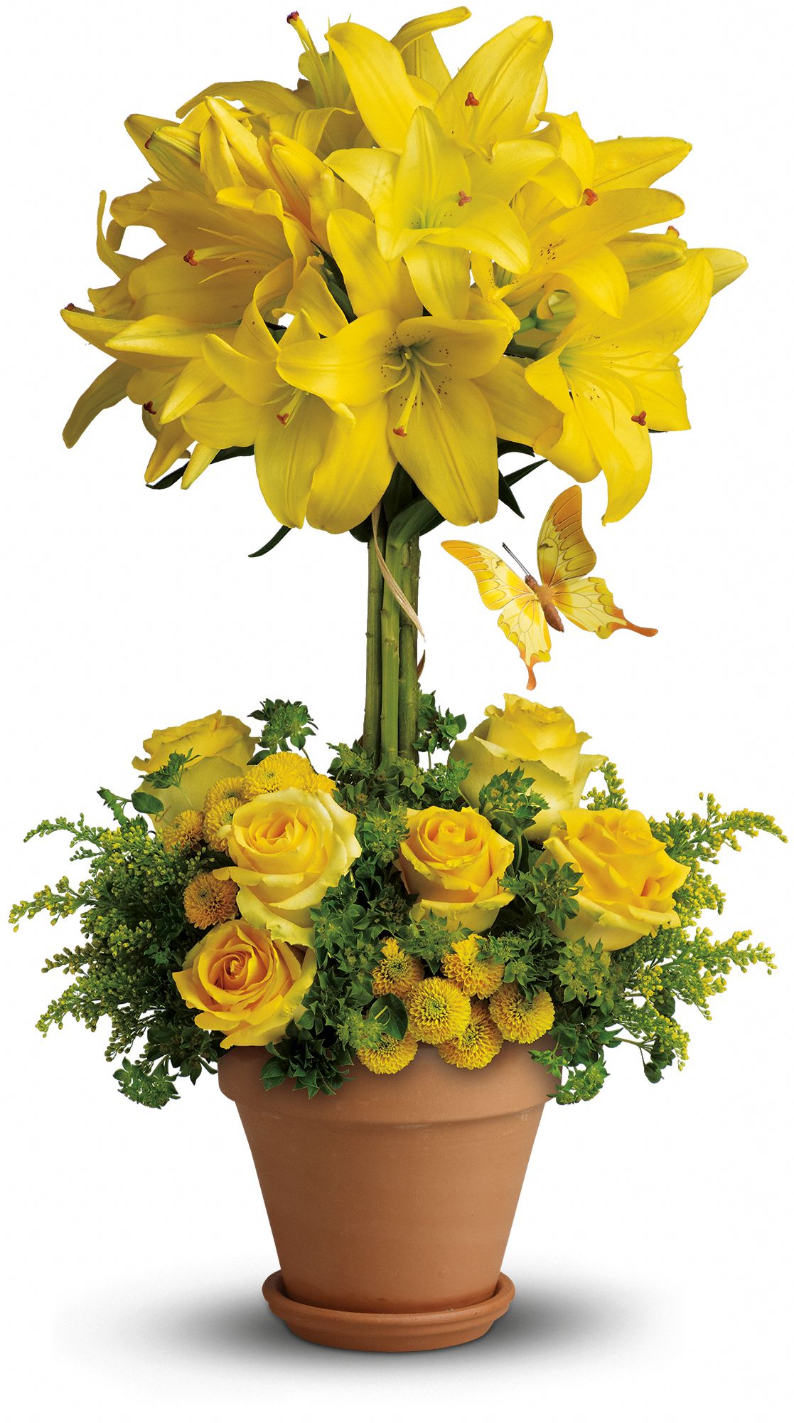 Teleflora's Yellow Fellow
