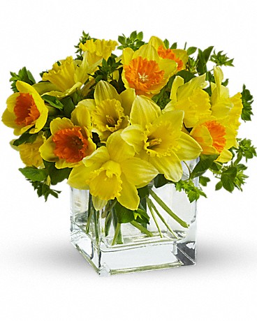 Teleflora's Daffodil Dreams Bouquet